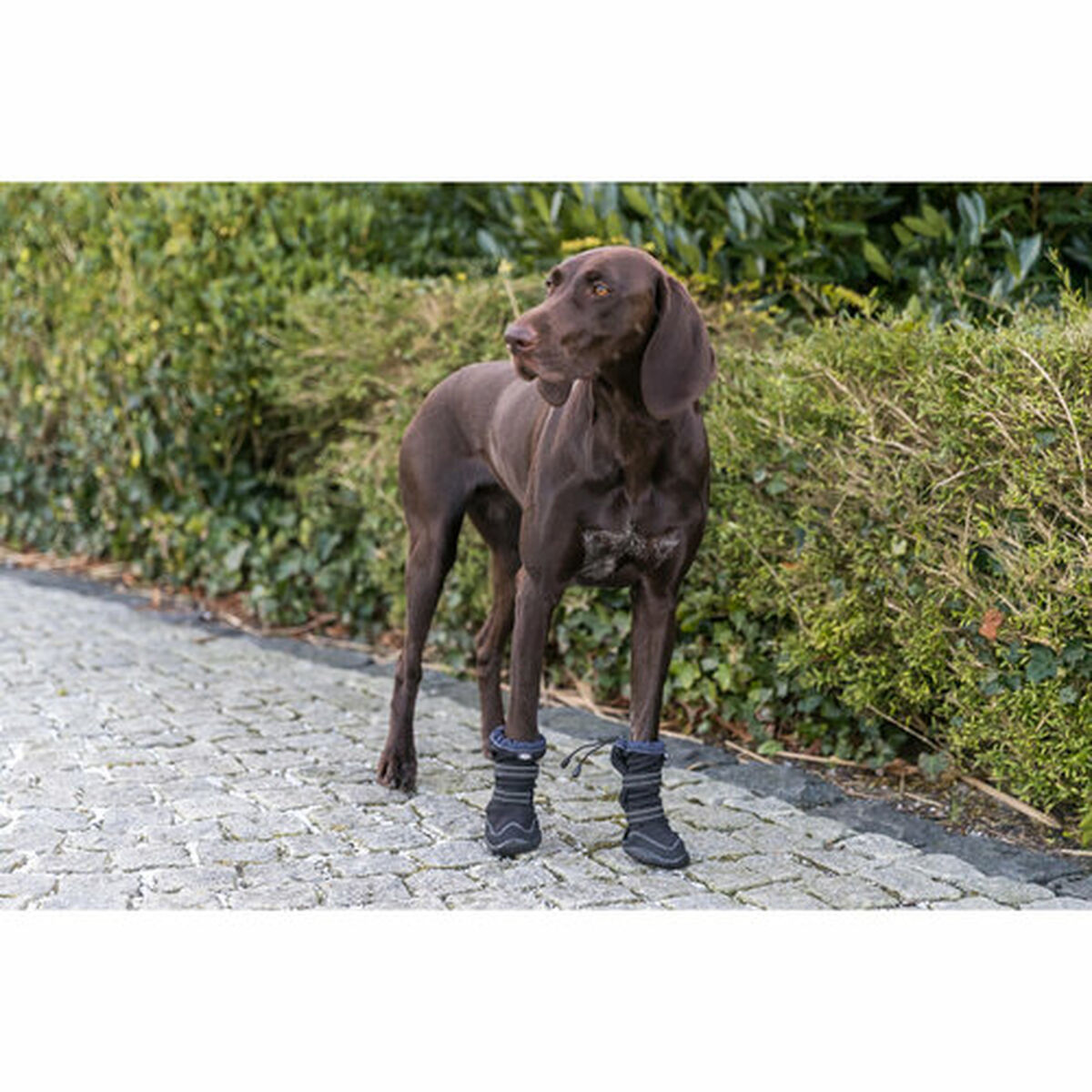 Leg protection walker Trixie Black L/XL